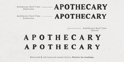 Apothicaire Serif Police Poster 6