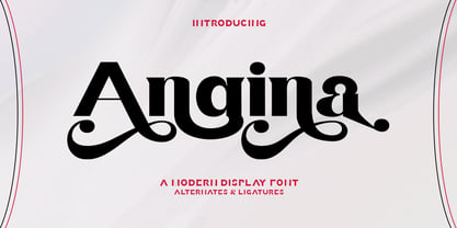 Angina Display Font Poster 1