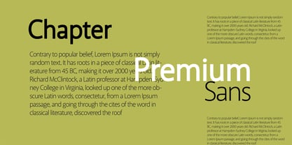 Premium Sans Police Poster 3