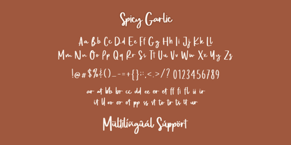 Spicy Garlic Font Poster 12