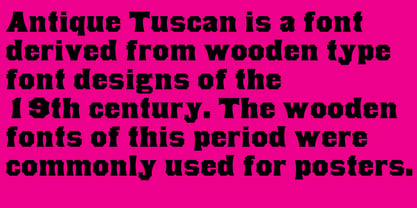 Antique Tuscan Font Poster 4