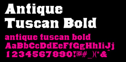 Antique Tuscan Font Poster 3