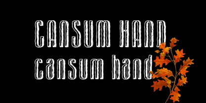 Cansum Hand Font Poster 2