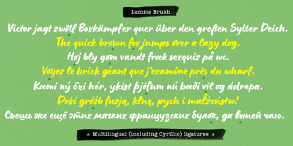 Lumios Brush Font Poster 7