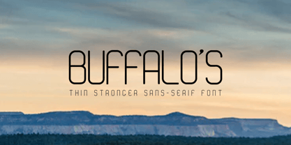 Buffalos Police Poster 1