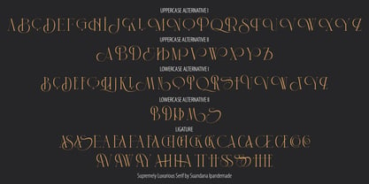 Supremely Luxurious Font Poster 9