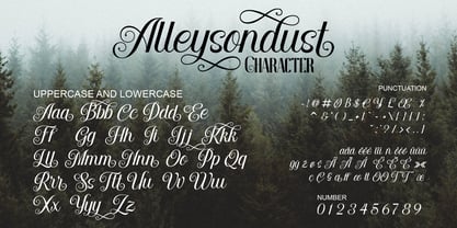 Alleysondust Font Poster 5