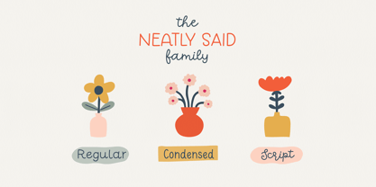 Neatly Said Font Poster 3