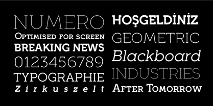 Full Slab Font Poster 6