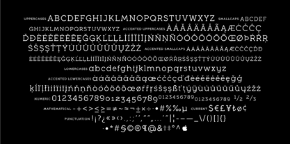 Full Slab Font Poster 8