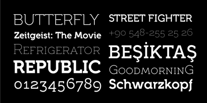 Full Slab Font Poster 7