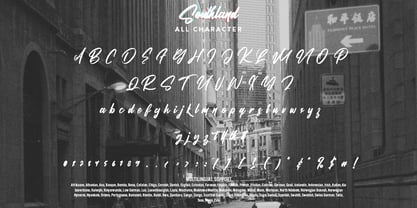 Southland Font Poster 7
