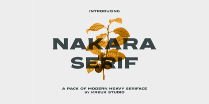 Nakara Font Poster 1