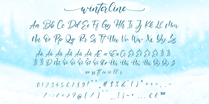 Winterline Font Poster 8