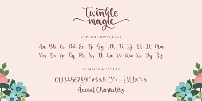 Twinkle Magic Fuente Póster 5