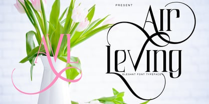 Air Leving Font Poster 1
