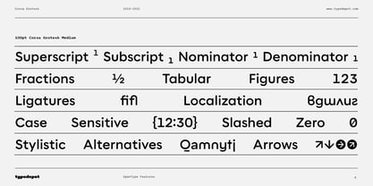 Corsa Grotesk Font Poster 7