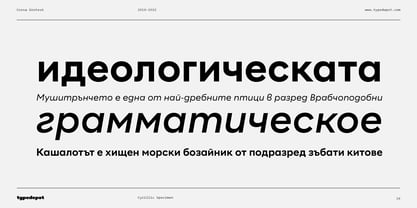 Corsa Grotesk Font Poster 15