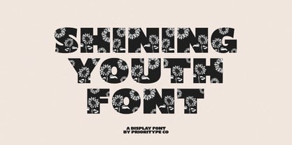 Shining Youth Font Poster 1