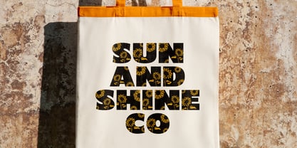 Shining Youth Font Poster 5