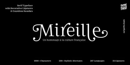 Mireille Font Poster 13