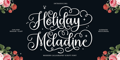 Holiday Meladine Fuente Póster 1