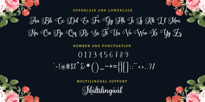 Holiday Meladine Font Poster 8