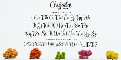 Chigoda Script Font Poster 8