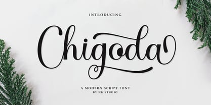 Chigoda Script Font Poster 1