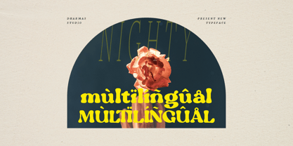 Nighty Font Poster 15