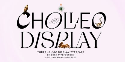 Cholleo Font Poster 1