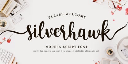 Silverhawk Font Poster 1