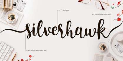 Silverhawk Fuente Póster 2