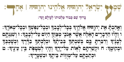 Hebrew Vilna Old Style Tanach Fuente Póster 5