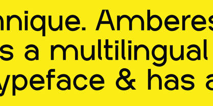 Amberes Grotesk Police Poster 5