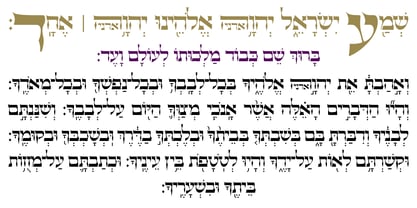 Hebrew Caligraphic Stam Font Poster 5