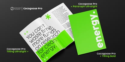 Cocogoose Pro Font Poster 2