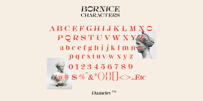 Bornice Font Poster 8