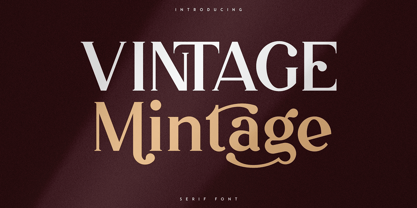 Vintage Mintage Fuente Póster 1