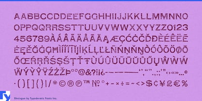 Shnixgun Font Poster 7