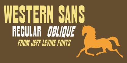Western Sans JNL Font Poster 1