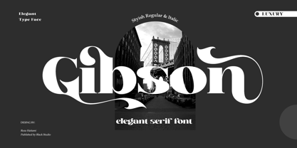 Gibson Serif Font Poster 1