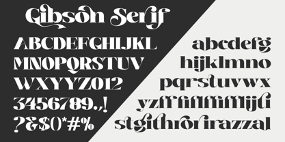 Gibson Serif Font Poster 11