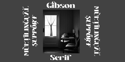 Gibson Serif Font Poster 10