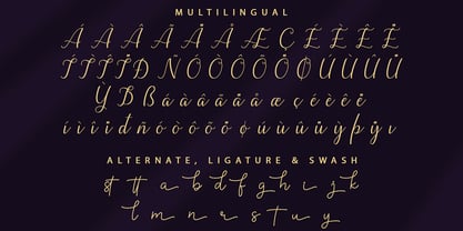 Luisina Font Poster 9