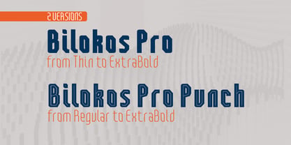 Bilokos Pro Font Poster 5