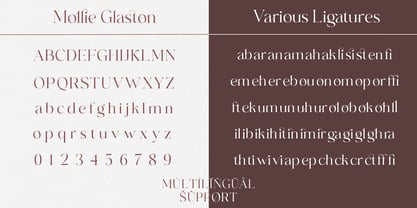 Mollie Glaston Font Poster 14