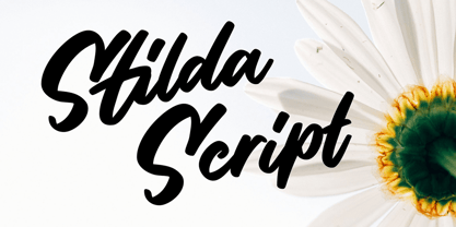 Stilda Script Font Poster 1