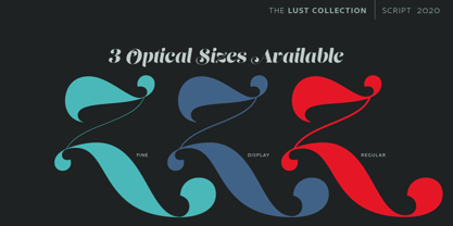 Lust Script Font Poster 9