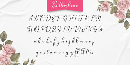 Buttershine Serif Font Poster 8